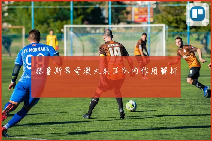 赫鲁斯蒂奇澳大利亚队内作用解析