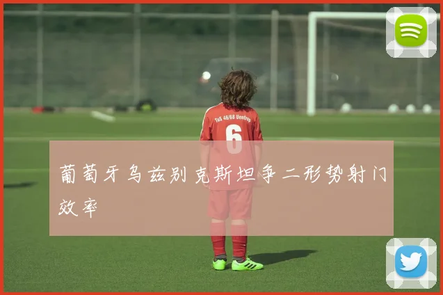 葡萄牙乌兹别克斯坦争二形势射门效率