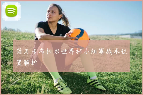 若万卡布拉尔世界杯小组赛战术位置解析