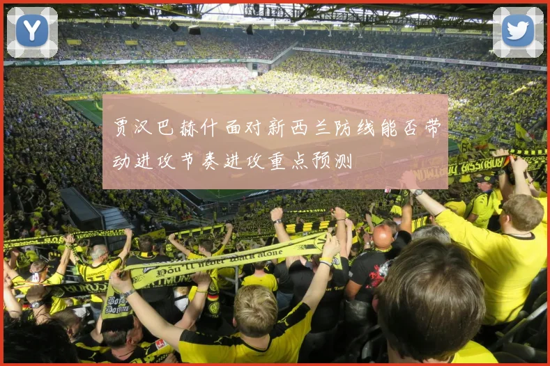 贾汉巴赫什面对新西兰防线能否带动进攻节奏进攻重点预测