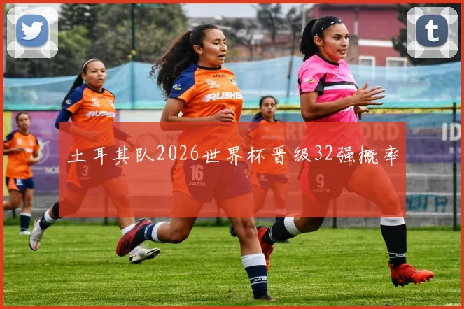 土耳其队2026世界杯晋级32强概率
