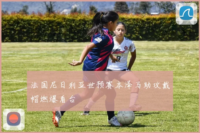法国尼日利亚世预赛本泽马助攻戴帽燃爆看台