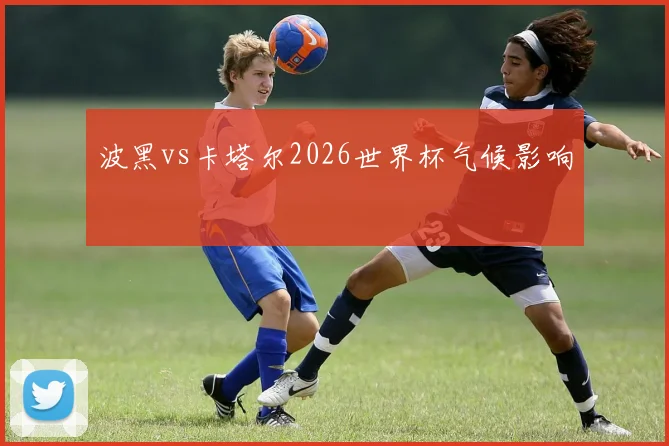 波黑vs卡塔尔2026世界杯气候影响
