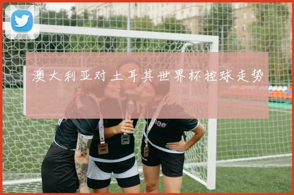 澳大利亚对土耳其世界杯控球走势