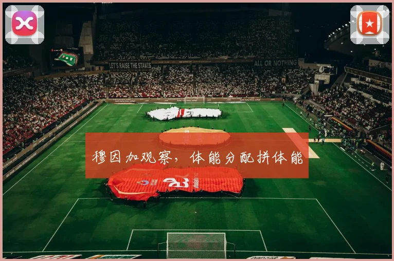 穆因加观察,体能分配拼体能