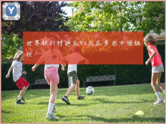世界杯科特迪瓦vs厄瓜多尔中场组织