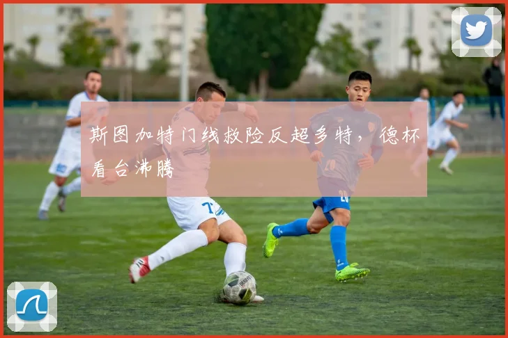 斯图加特门线救险反超多特，德杯看台沸腾