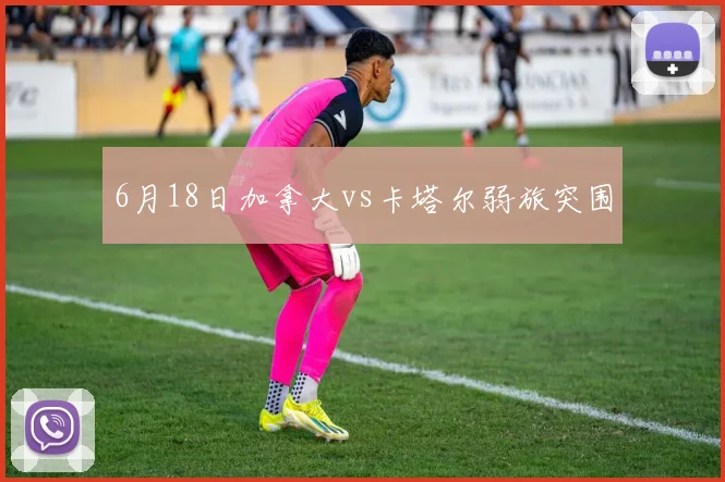 6月18日加拿大vs卡塔尔弱旅突围