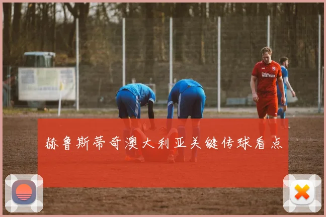 赫鲁斯蒂奇澳大利亚关键传球看点